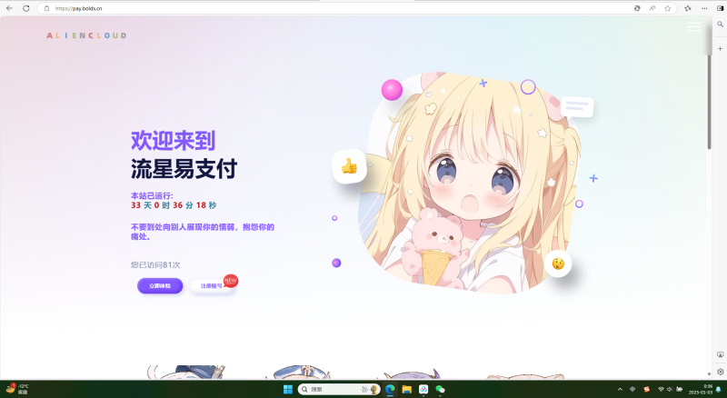 易支付美化模板-流星源码网